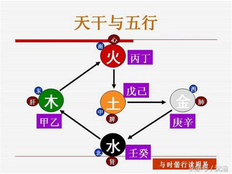 五行 甲木|木（五行之一）